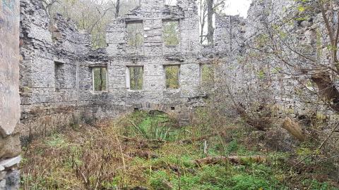 Milling around - 18.jpg