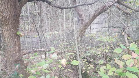 Ruins near Murray Overlook photo 3