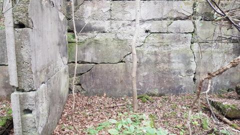 Ruins near Murray Overlook - Brant, Ontario