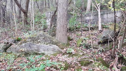 Ruins near Murray Overlook photo 4