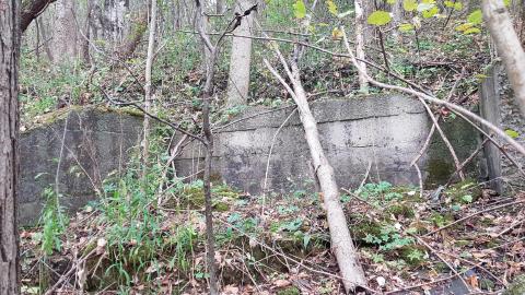 Ruins near Murray Overlook photo 5