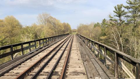 April 2021 - IMG_8725.jpg