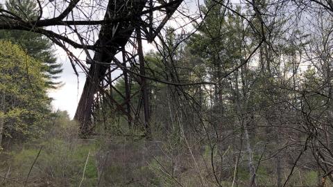 Big Creek Canadian National Railway Trestle photo 5