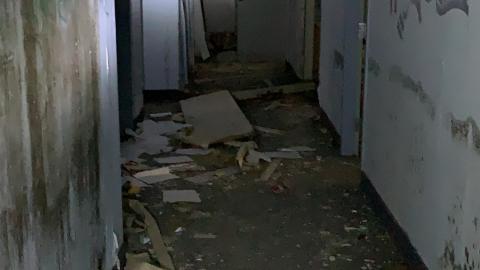 welcome back - 7F4C2986-5F9D-44B0-901B-6DF3F1BE9CEB.jpeg