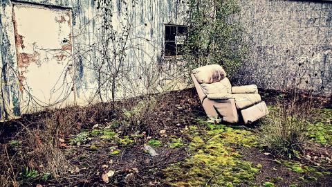 The Skylark - aviary-image-1635198385964.jpeg