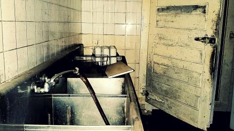 The Skylark - aviary-image-1635198157918.jpeg