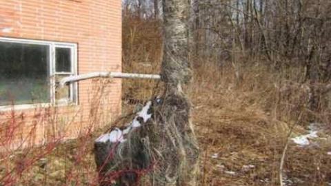 Outside #2 - House-with-a-View152.jpg