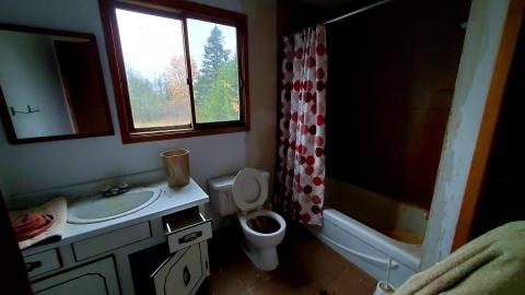 The Skylark - 20211025_161854.jpg