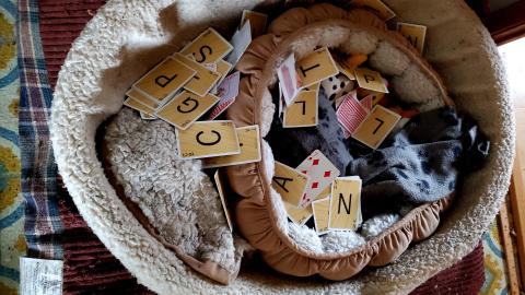 The Skylark - 20211025_161255.jpg