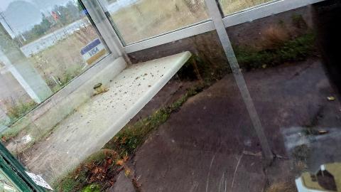 The Skylark - 20211025_160613.jpg