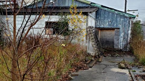 The Skylark - 20211025_160346.jpg