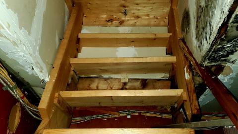 The Skylark - 20211025_160008.jpg