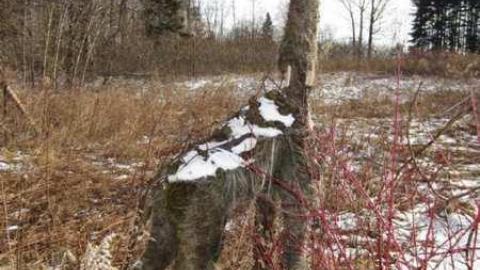 Outside #2 - House-with-a-View161.jpg