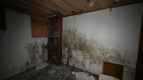 Small Garage - _DSC7899.JPG