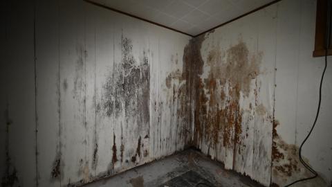 Small Garage - _DSC7900.JPG