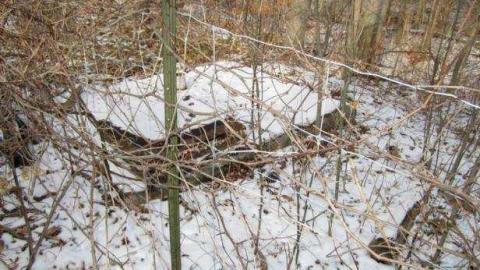 Outside #1 - House-with-a-View216.jpg