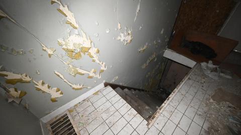 trash - _DSC7881.JPG