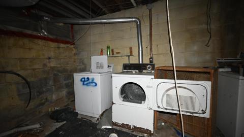 trash - _DSC7884.JPG