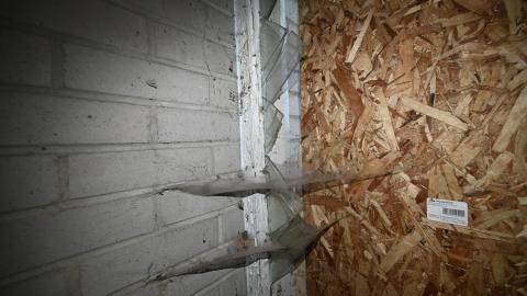 trash - _DSC7894.JPG