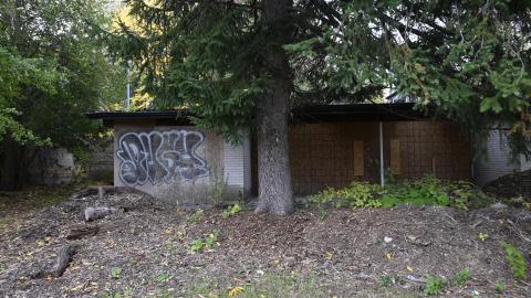 trash - _DSC7939.JPG