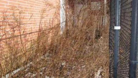 Outside #1 - House-with-a-View195.jpg