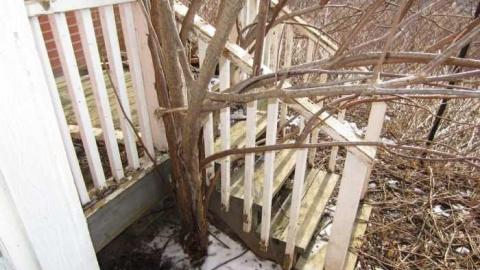 Outside #1 - House-with-a-View196.jpg