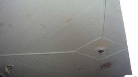 house - Medway-Road-Violated-Beauty43.jpg