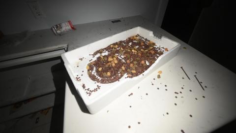 Night Time - _DSC7444.JPG