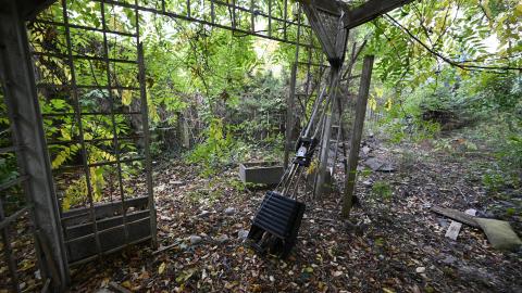 Day Time - _DSC7591.JPG