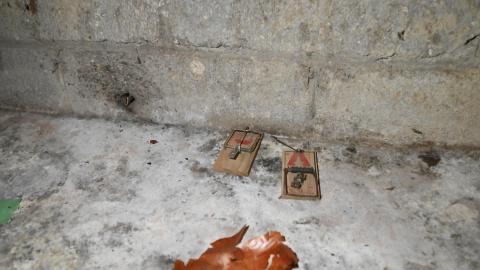 Inside - _DSC7329.JPG