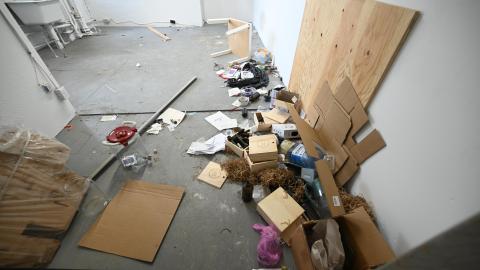 Photos are okay but my vibes are all off - _DSC7419.JPG