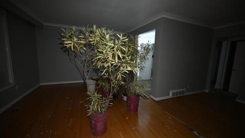 Inside - _DSC7334.JPG