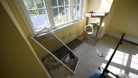 Day Time - _DSC7603.JPG