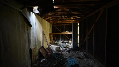 Day Time - _DSC7625.JPG