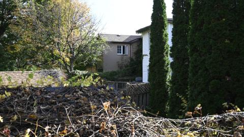 Day Time - _DSC7628.JPG