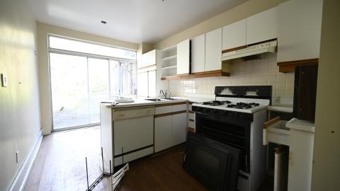 Day Time - _DSC7630.JPG