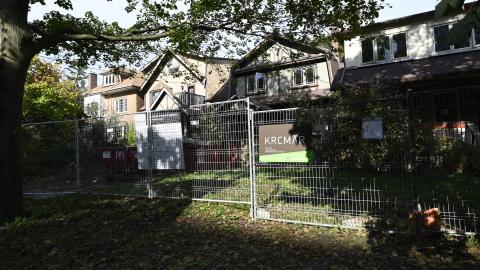 Day Time - _DSC7637.JPG