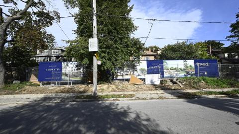 Day Time - _DSC7638.JPG