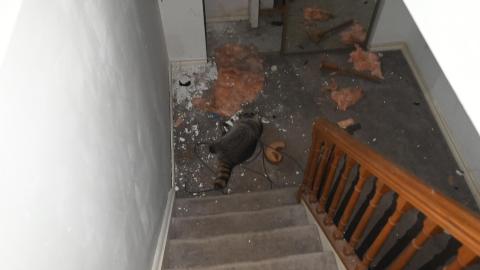 Night Time - _DSC7517.JPG