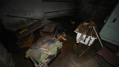 Hairy - _DSC7736.JPG