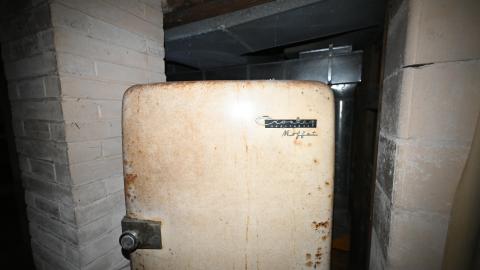 Hairy - _DSC7737.JPG