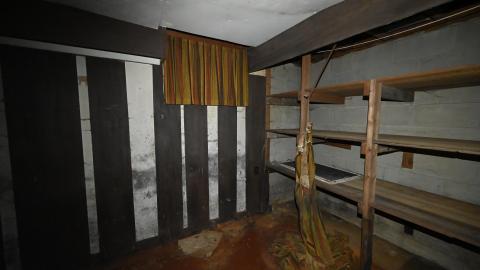 Hairy - _DSC7744.JPG