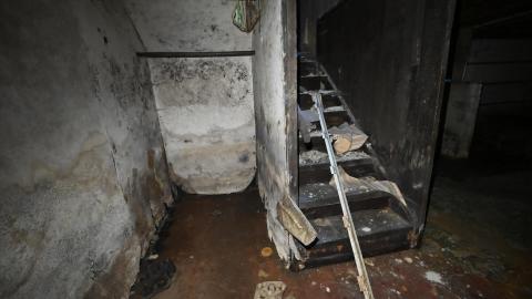 Hairy - _DSC7745.JPG