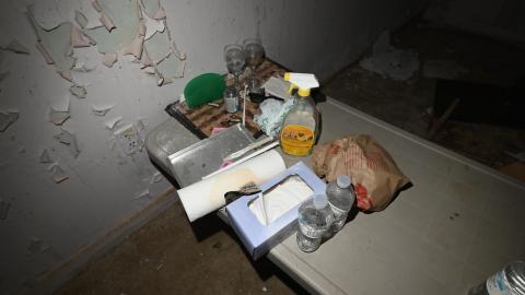 Hairy - _DSC7750.JPG