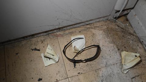 Hairy - _DSC7753.JPG