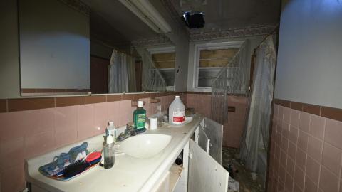 Hairy - _DSC7756.JPG