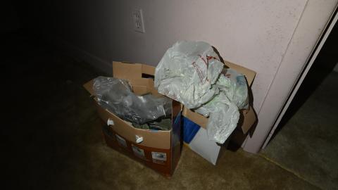 Hairy - _DSC7770.JPG