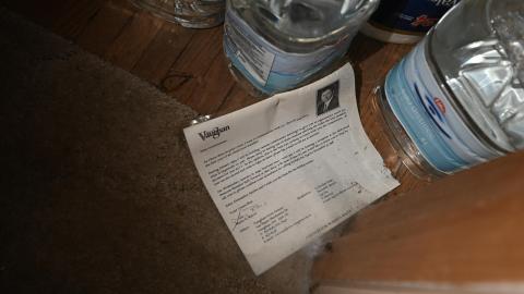 Hairy - _DSC7771.JPG