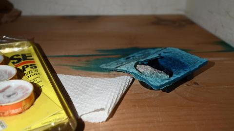 Hairy - _DSC7772.JPG