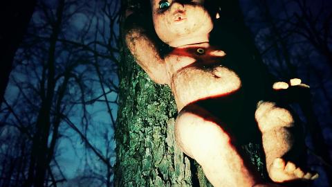 The Dolls - Fall Night-time Edition - aviary-image-1635992084081.jpeg